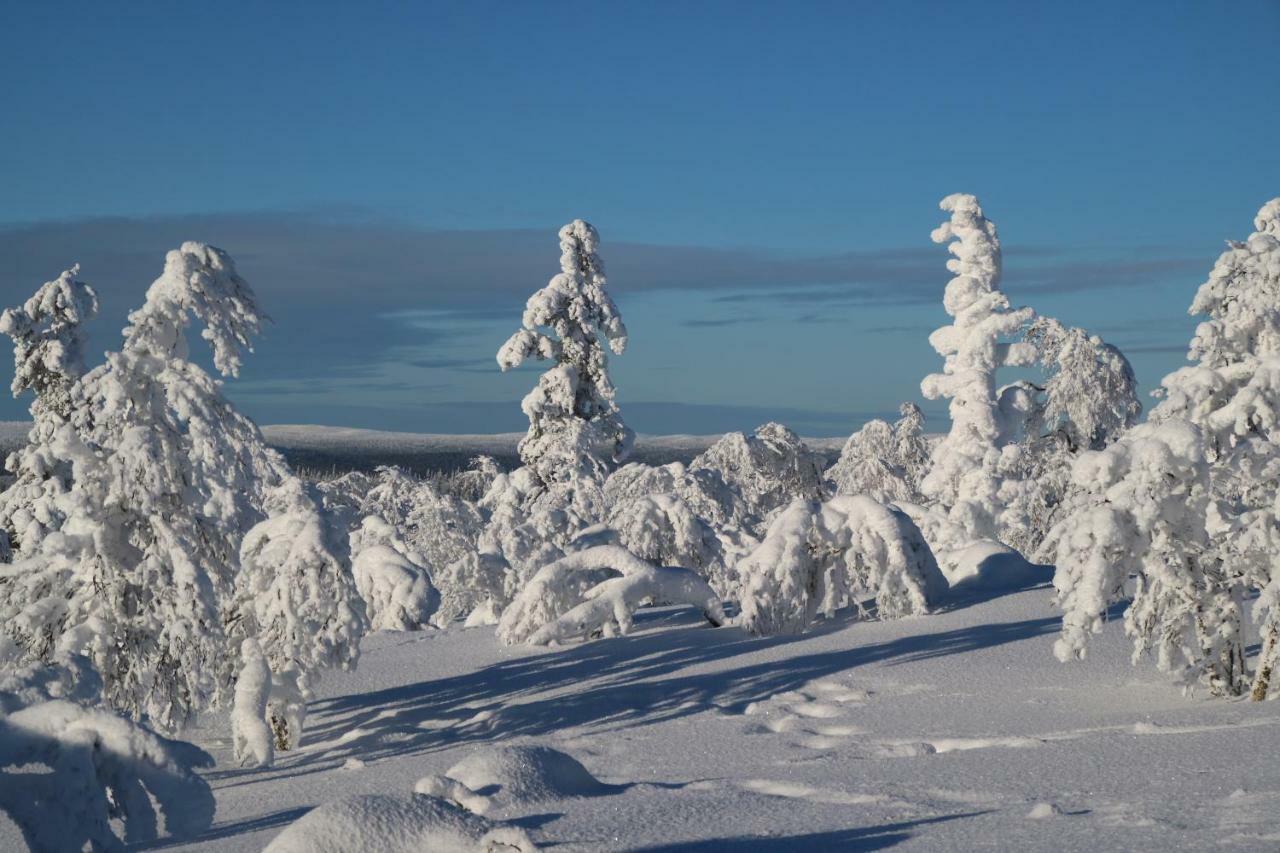 Polaris Homes For You, Apartment Rovaniemi Esterno foto